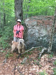 Beaver Brook, Hollis NH, Hike on July 4 2017 - 048
