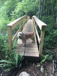 Beaver Brook, Hollis NH, Hike on July 4 2017 - 081