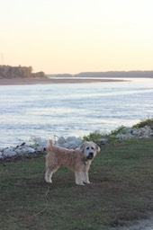 Kacey on the River - 3