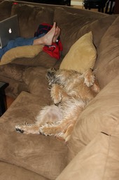 Kacey Assume the Sleeping Position - 3