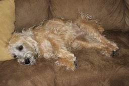 Kacey Assume the Sleeping Position - 5