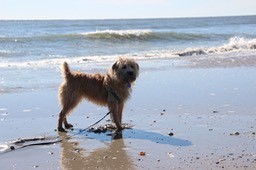 Kacey at the Beach 2 - 04