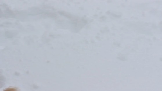 kacey-in-snow-movie