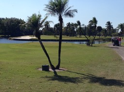 Golf at Palm Beach National CC - Par 3