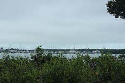 View out window at Knights Key