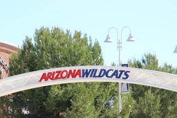 University of Arizona Campus and stadium - 09