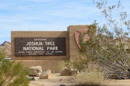 Joshua Tree National Park - 07