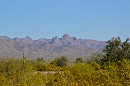 Mountain Views Between Apache Junction and Florence AZ - 19