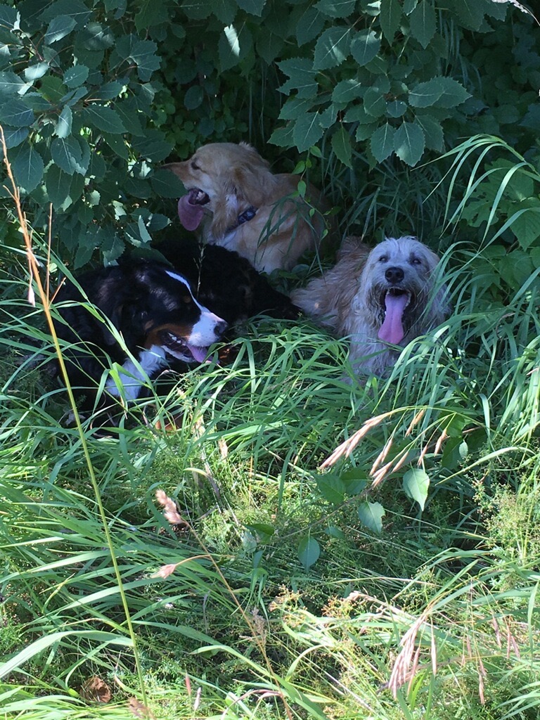 The Buddies it's Hot Out There!