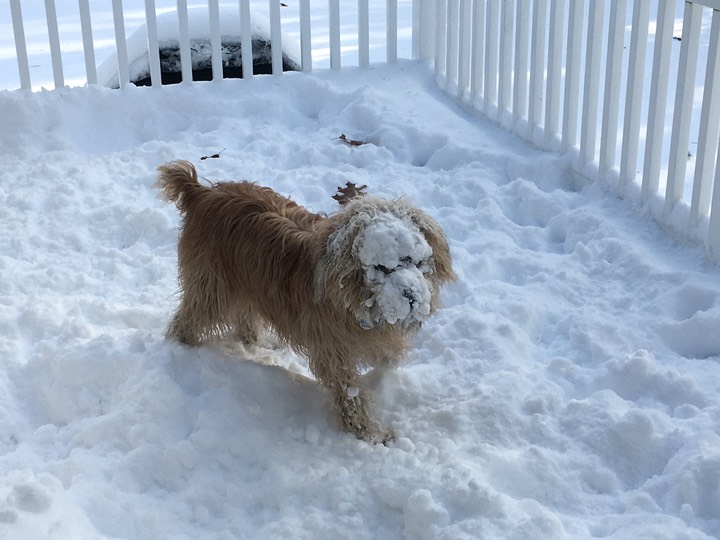 Kacey Snowey Face