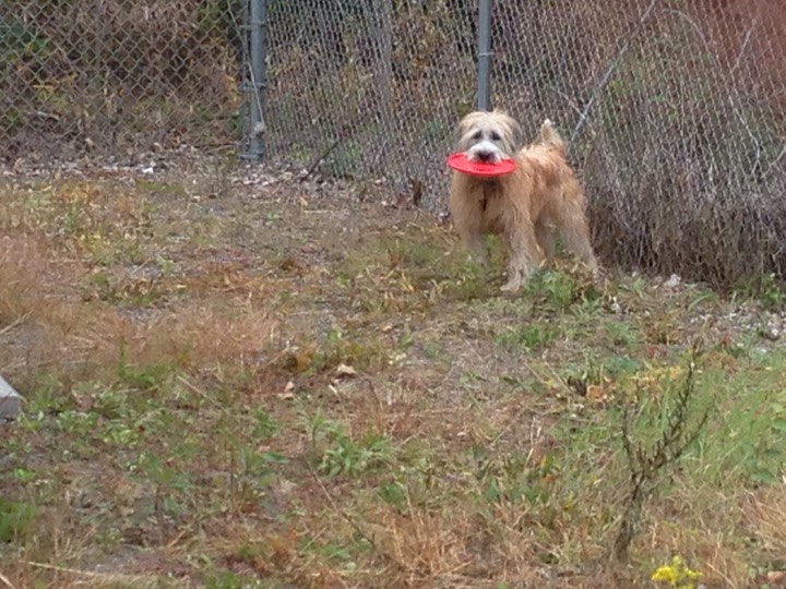 Kacey Playing in Storage Lot - 1