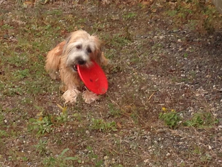 Kacey Playing in Storage Lot - 6