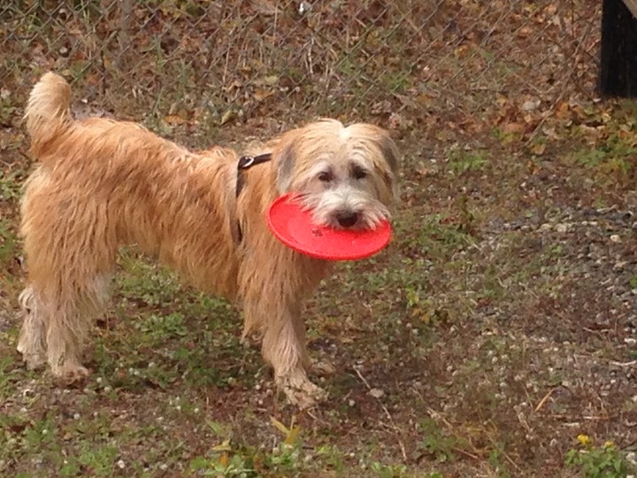 Kacey Playing in Storage Lot - 7