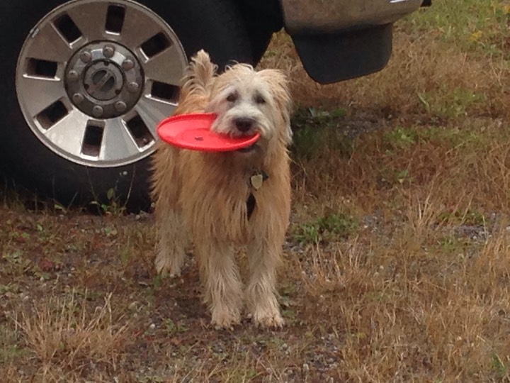 Kacey Playing in Storage Lot - 9