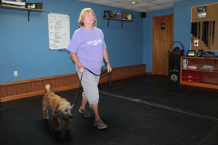 Kacey at K9 Training, Heel & Lay Down - 09