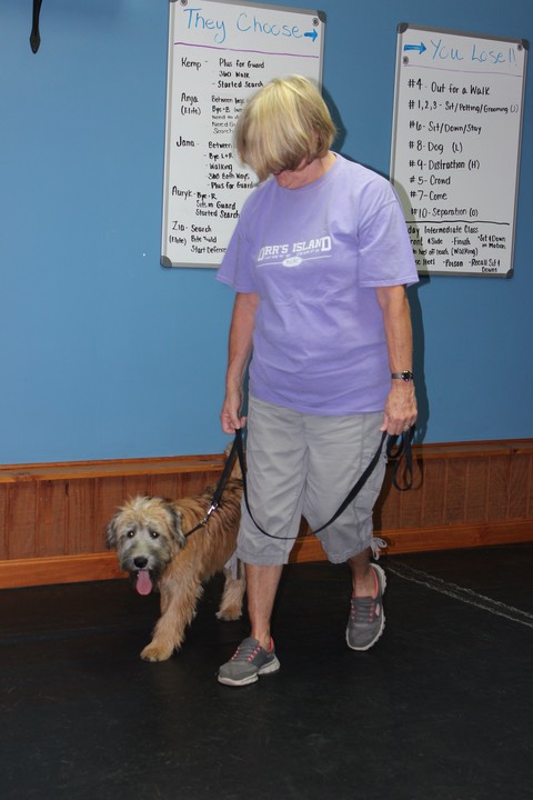 Kacey at K9 Training, Heel & Lay Down - 23