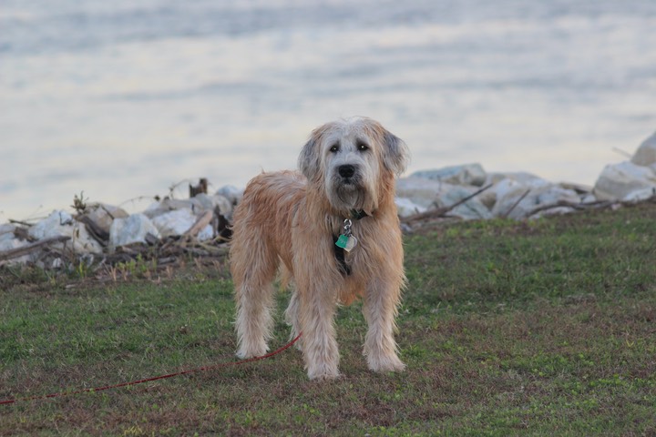 Kacey on the River - 8