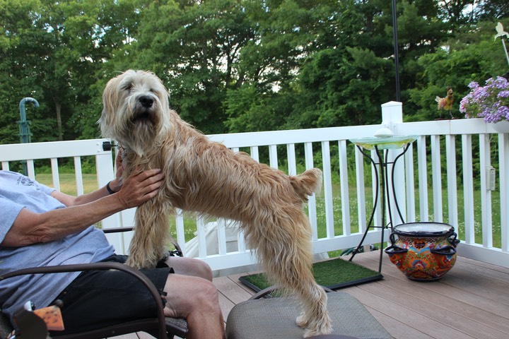 Kacey Hanging in the Hood NH July 2016 - 18