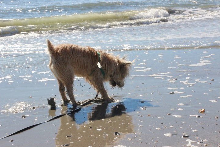 Kacey at the Beach 2 - 02