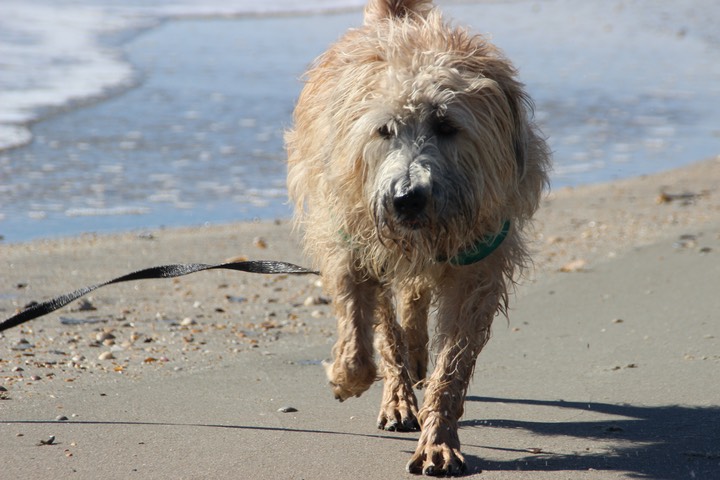 Kacey at the Beach 2 - 05