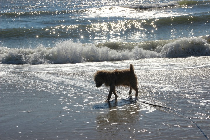 Kacey at the Beach 2 - 06