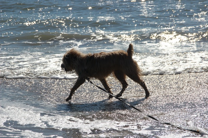 Kacey at the Beach 2 - 10