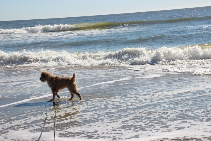 Kacey at the Beach 2 - 12