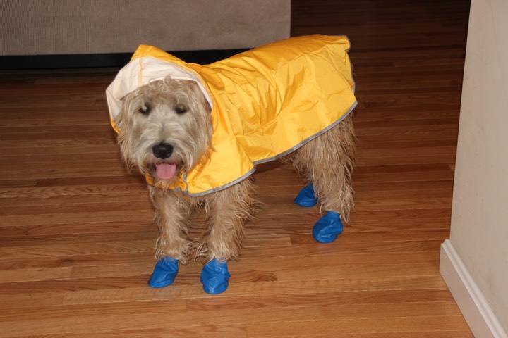 Kacey with new Rain/Snow duds - 2