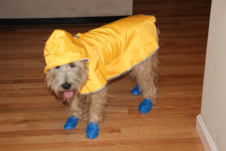 Kacey with new Rain/Snow duds - 4