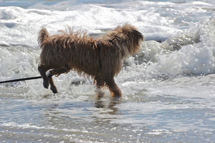 Kacey at the Beach - 13