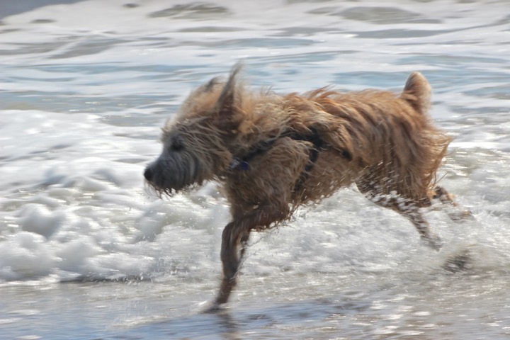 Kacey at the Beach - 14