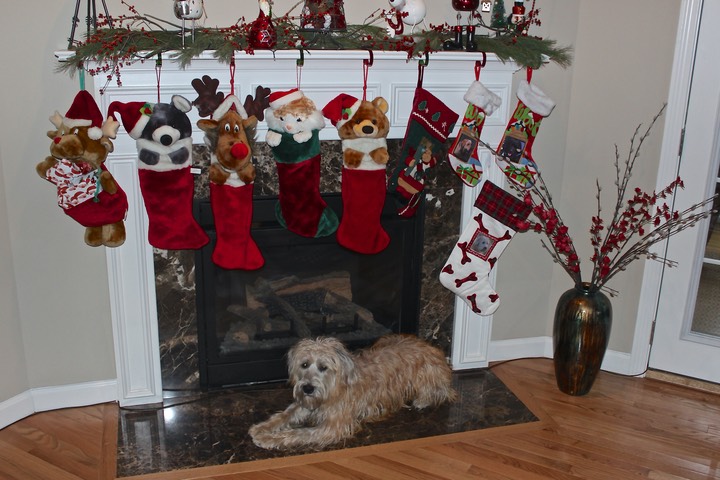 Kacey on the hearth Christmas - 7