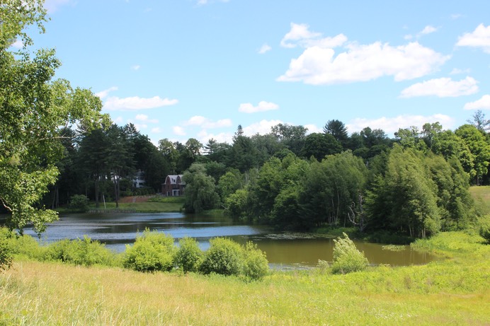 Pond just off main campus behind Housing 1