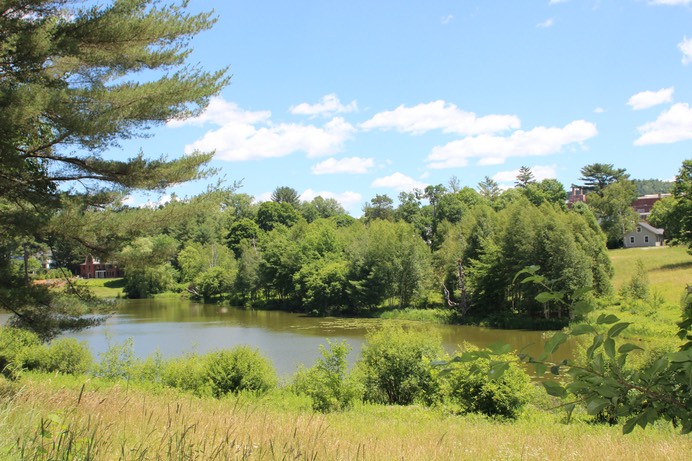 Pond just off main campus behind Housing 2