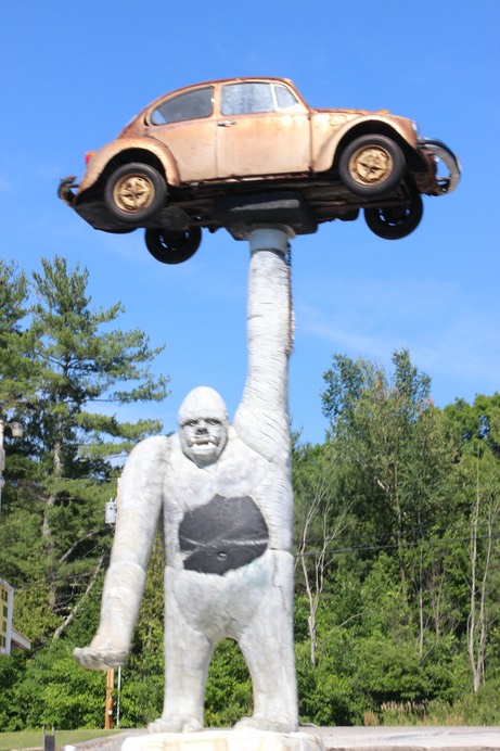 Gorrilla holding up VW Bug - Roadside Viewing - 3