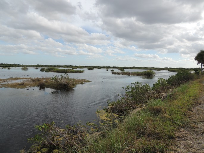 Merrit Island National Wildlife Refuge - Nikon - 33