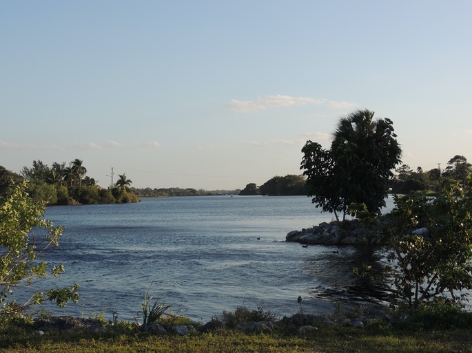 Birds, scenery - John Prince Park Campground - 27