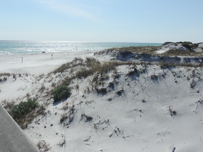 TopSail State Park, Beach - 4