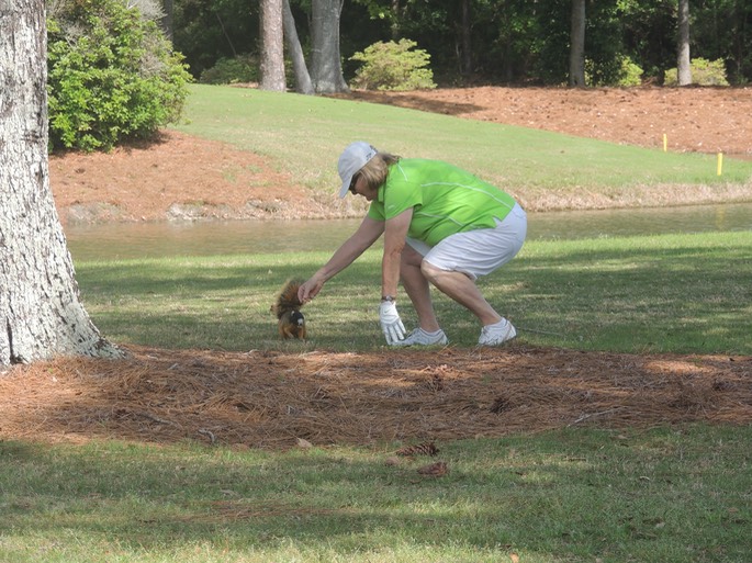 Gulf Shores Golf Club - 19