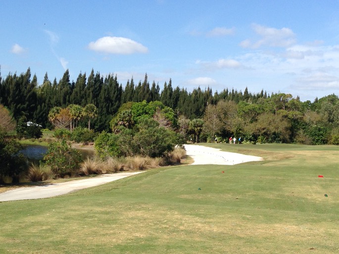 Florida Club with Sandhill Cranes - 2