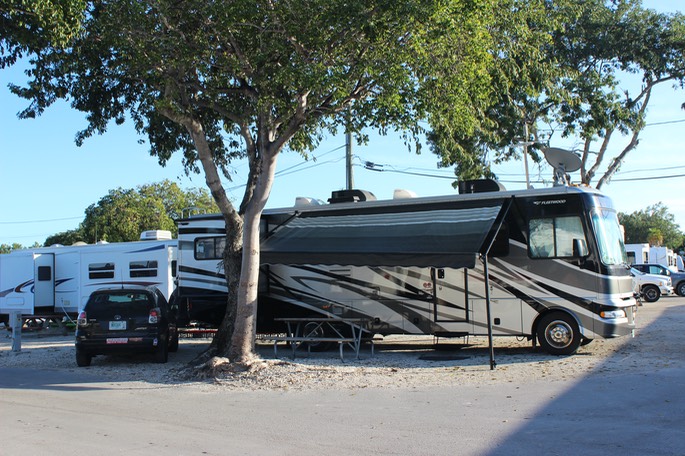 Aussie Rocket & Roo on site Sugarloaf KOA 2