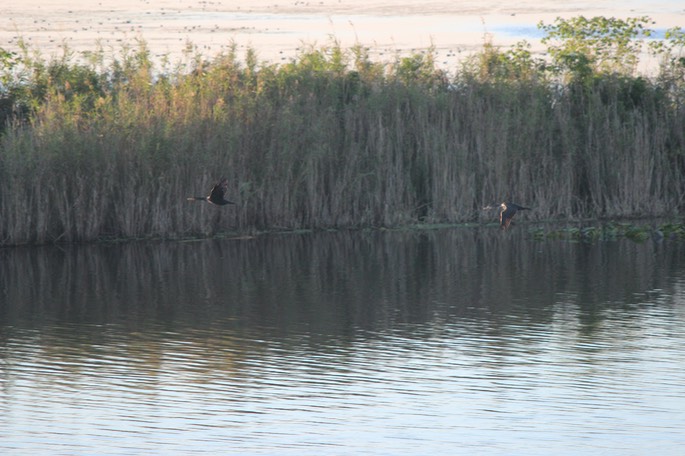 Lake Okeechobee - 05