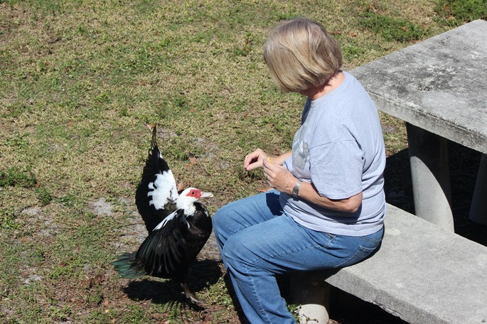 Linda and Quacker just Launching to get bread