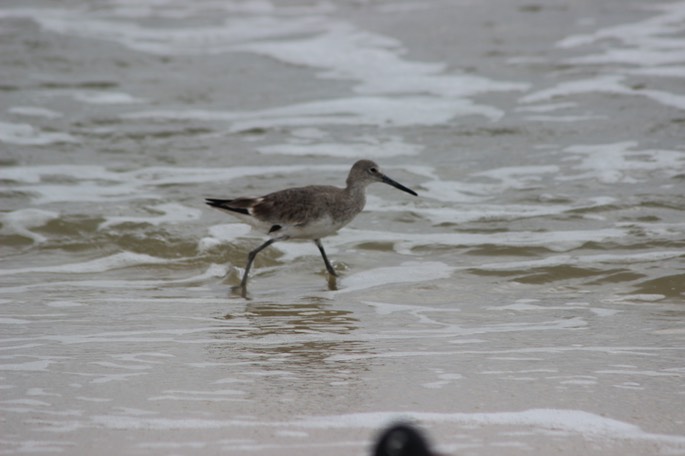 St George Island - 15