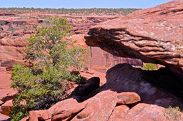 Canyon De Chelly - 085