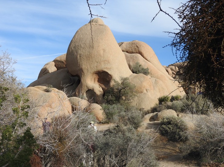 Joshua Tree NP Skull Rock  - 2