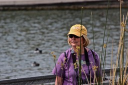 Gilbert Riparian Preserve - Hiking Park with Ponds - 147