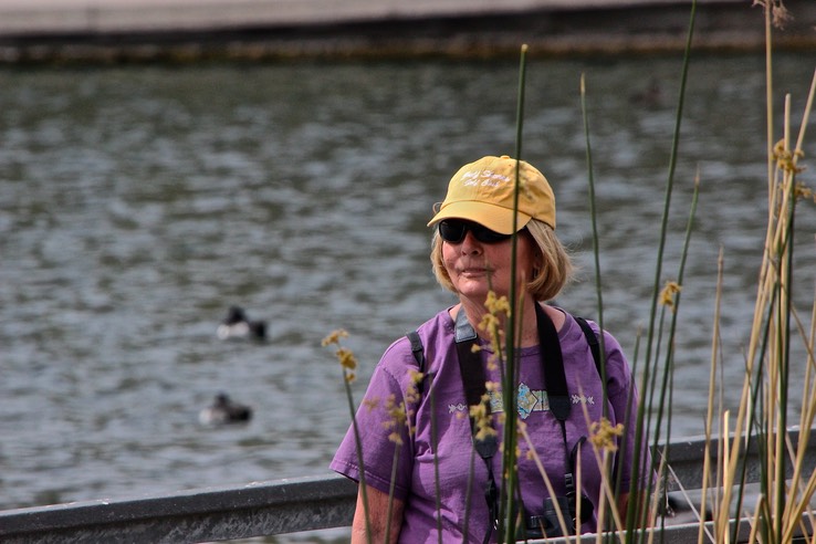 Gilbert Riparian Preserve - Hiking Park with Ponds - 147