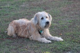 Kacey on the River - 2