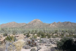 Saguaro National Park - 03